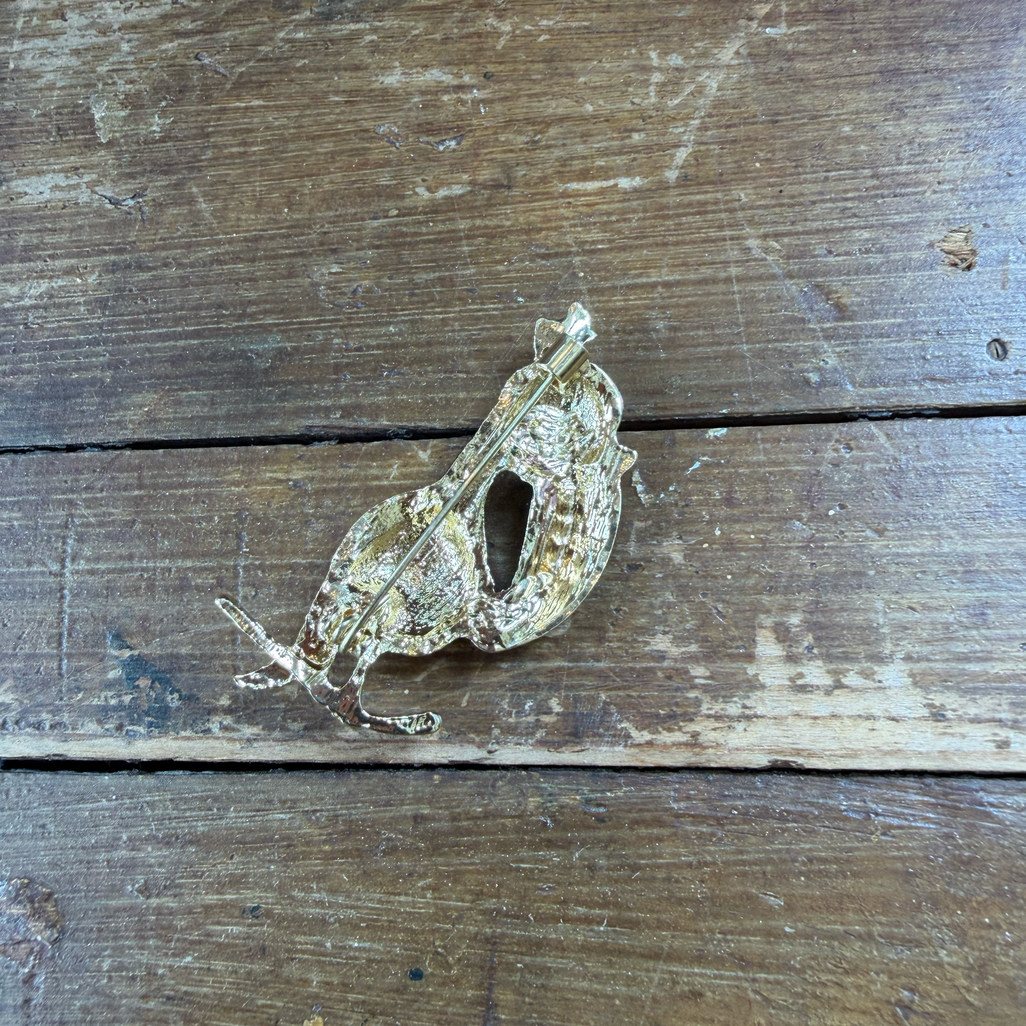 Broche toekan