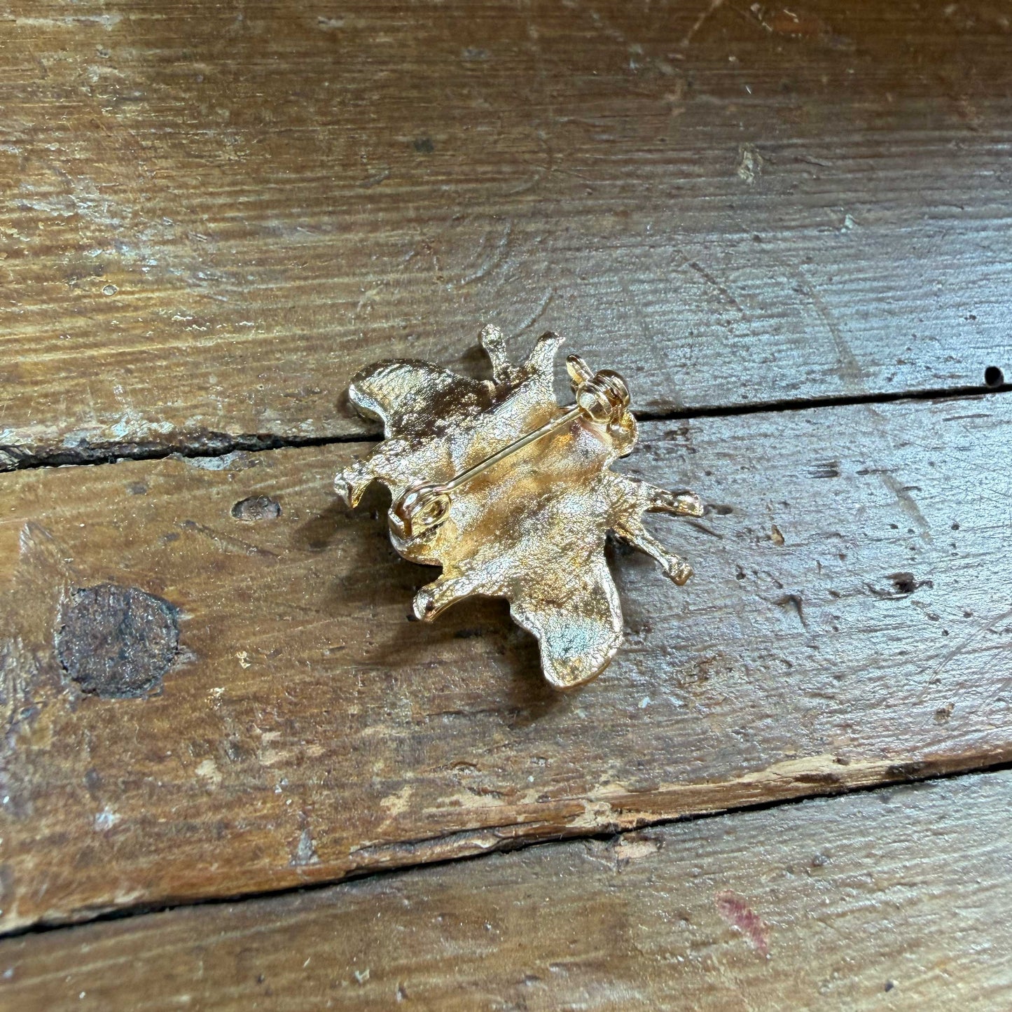 Broche bij