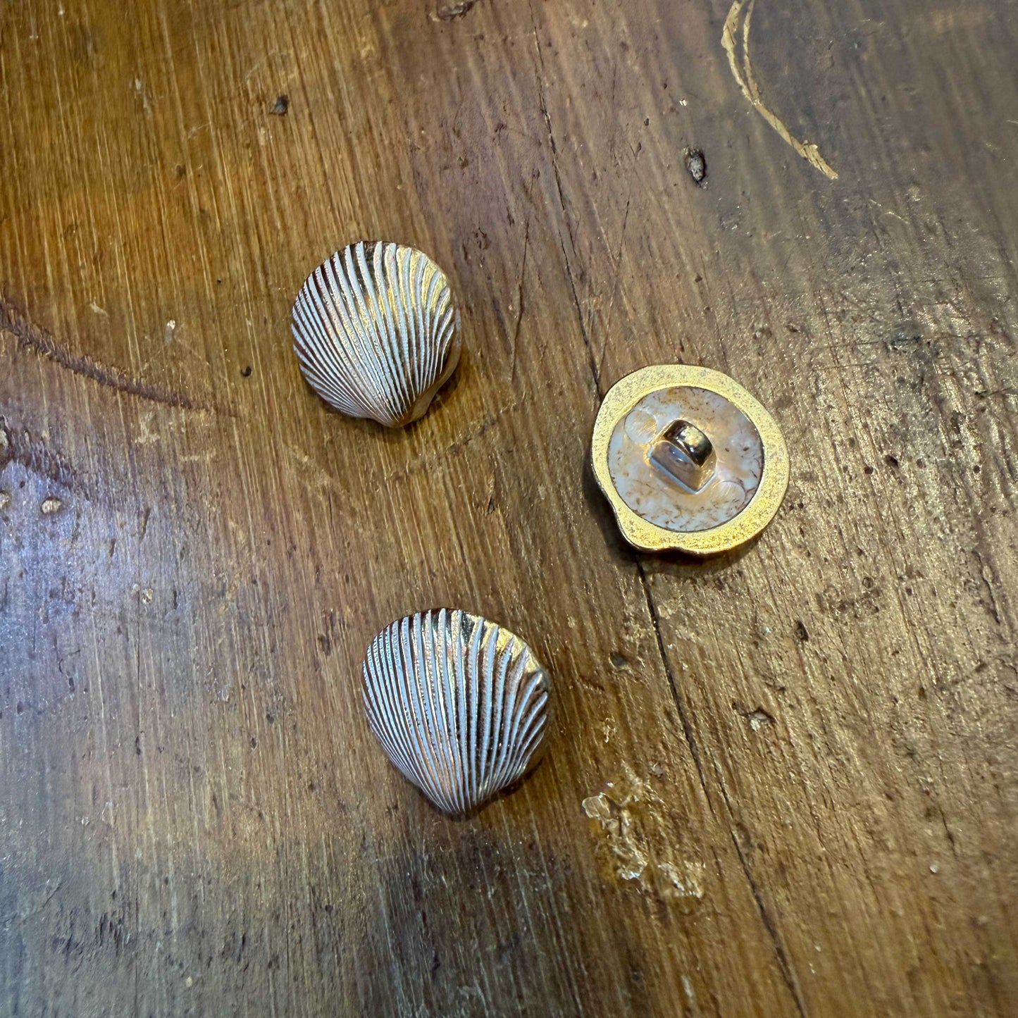 Gouden schelpknoop met wit accent - 20 mm