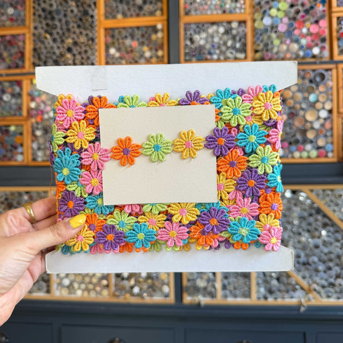 Madeliefjes band multi kleur