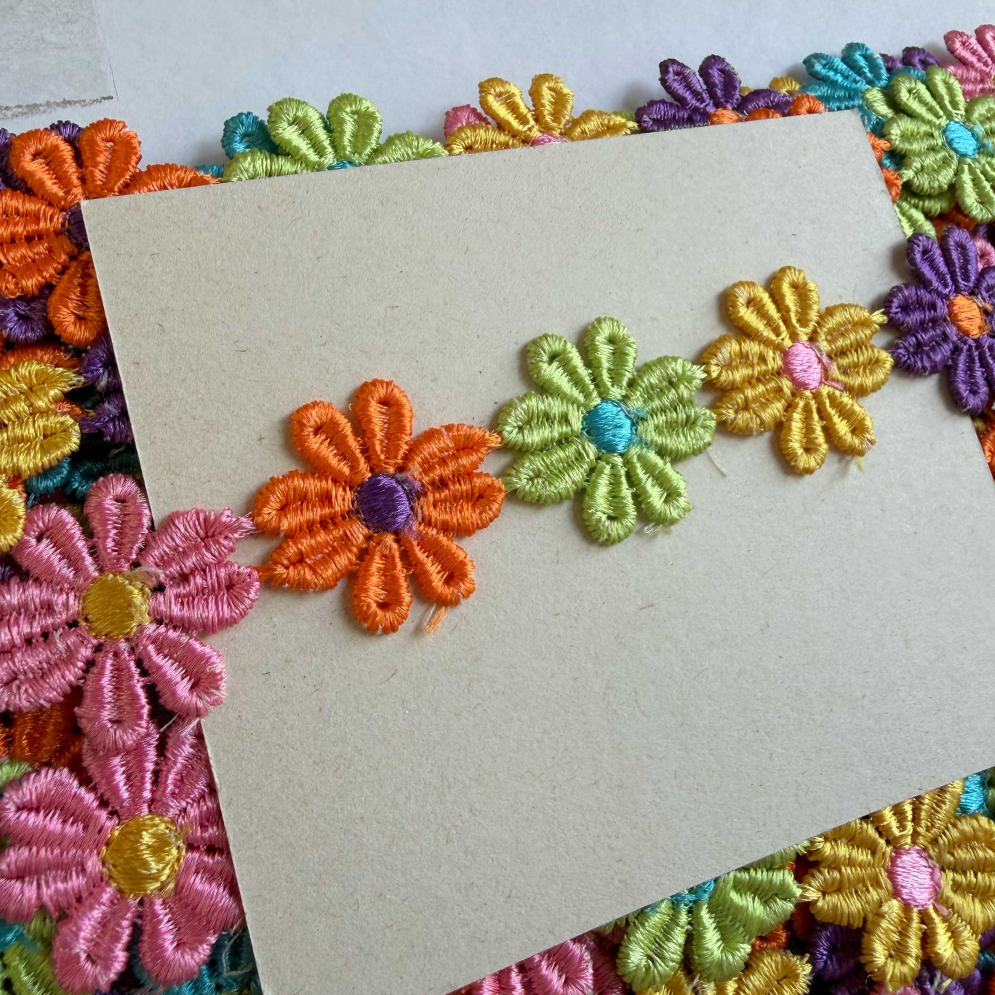 Madeliefjes band multi kleur