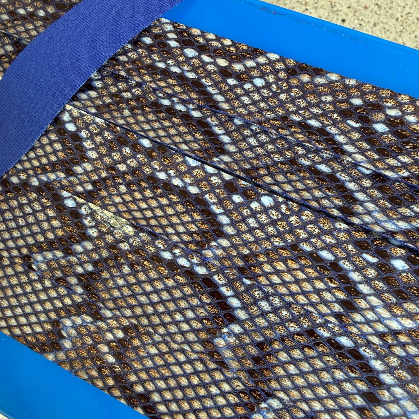 Sierband slangenprint blauw/paars