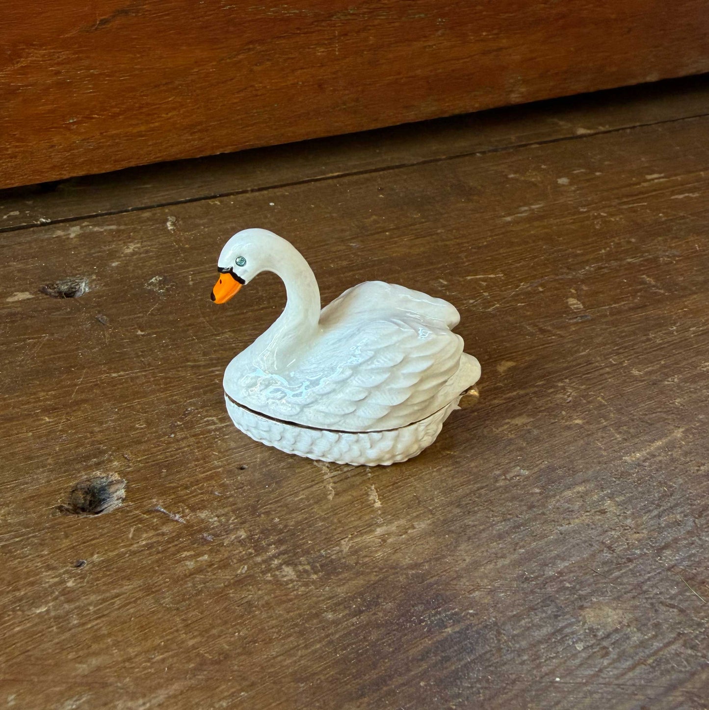 Sierdoosje Zwaan