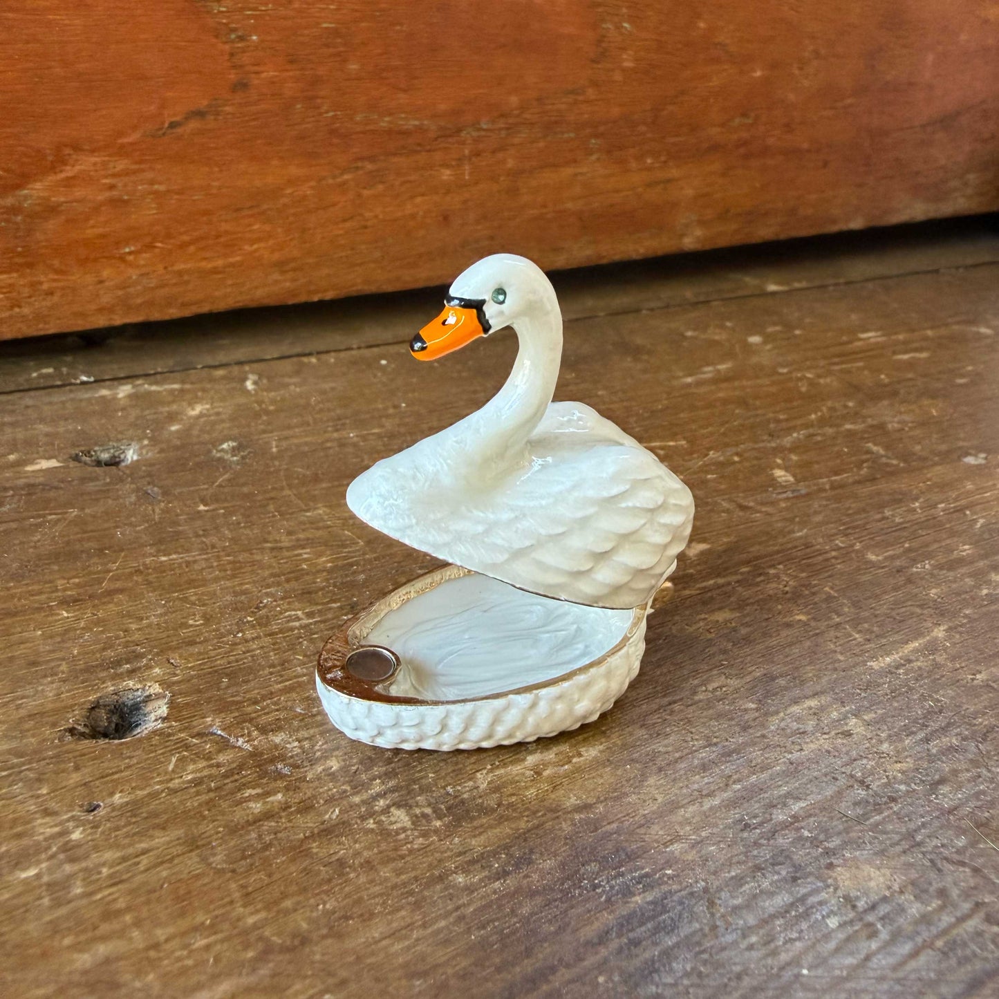 Sierdoosje Zwaan